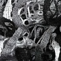черно-белый